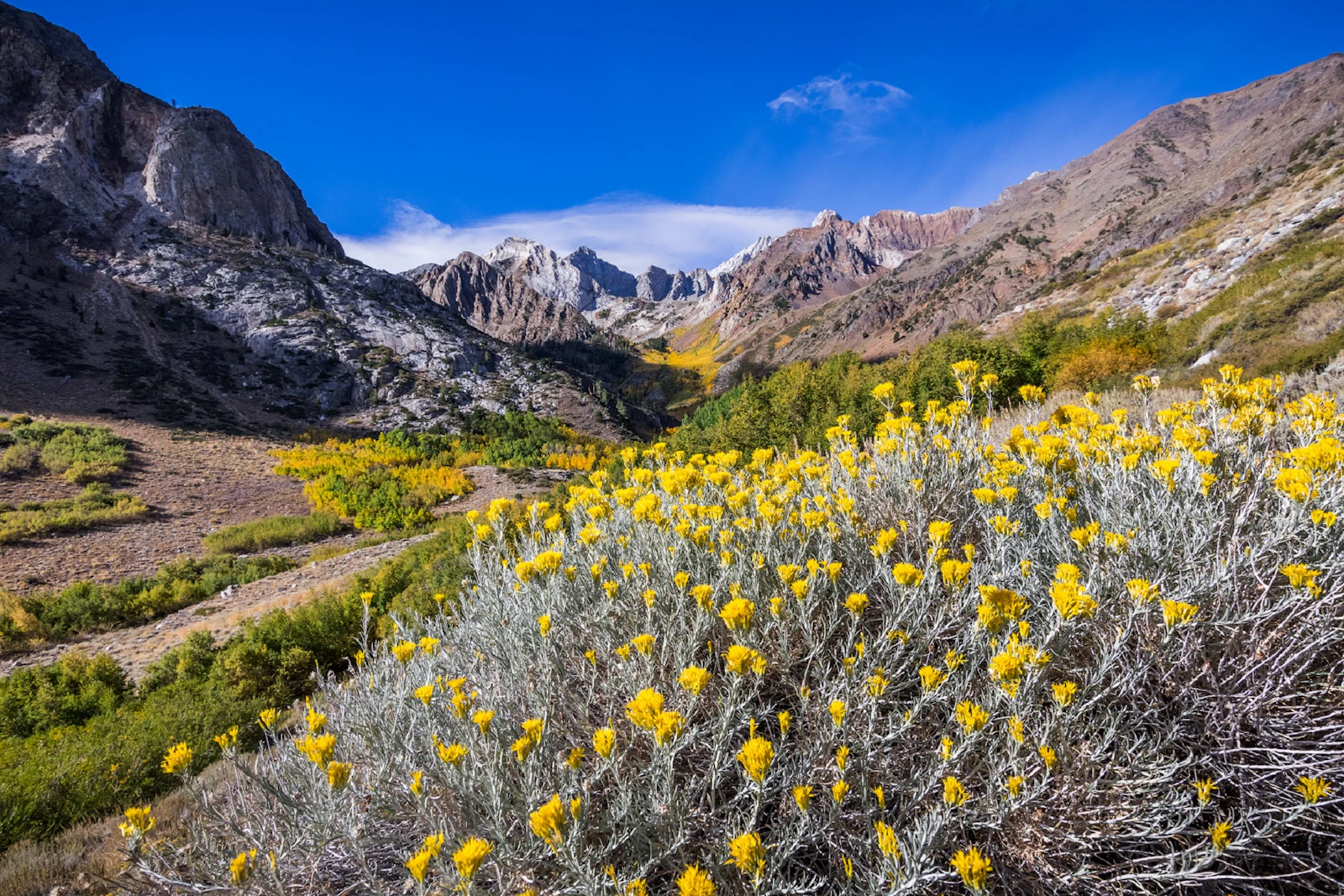 Kalifornien - Mammoth Lakes