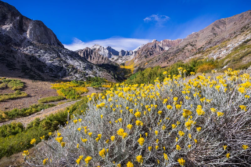 Kalifornien - Mammoth Lakes