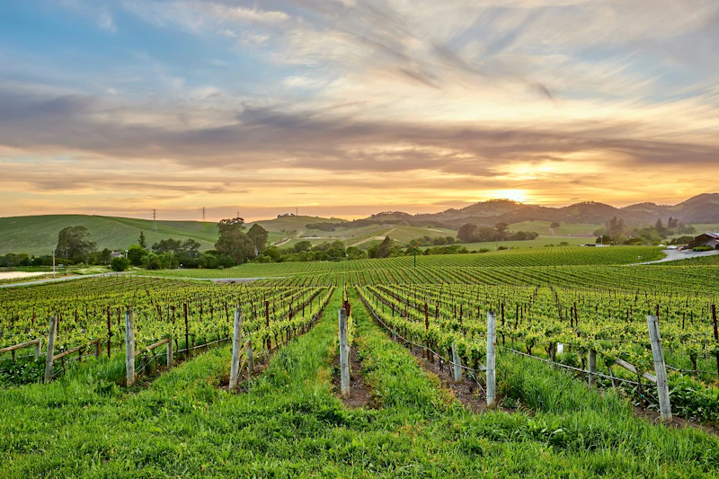 Kalifornien - Sonoma