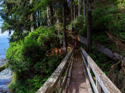 British Columbia - Tofino