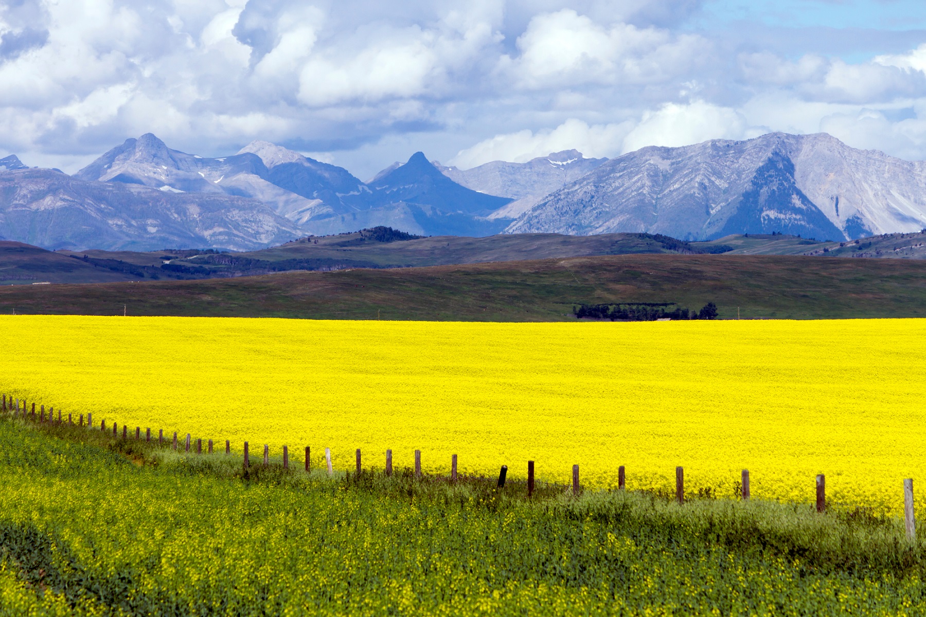 Alberta - Fahrt Calgary - Waterton