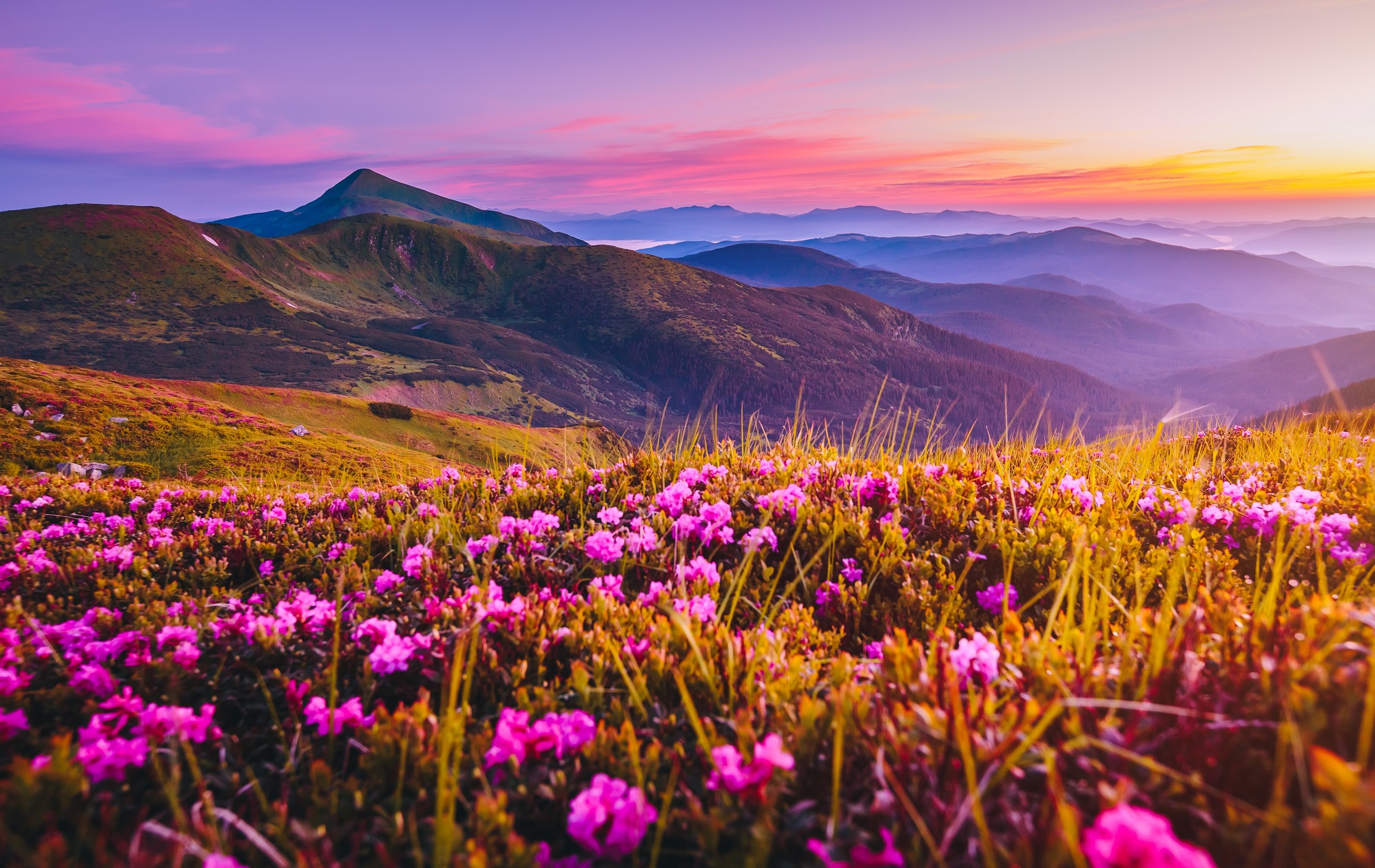 British Columbia - Manning