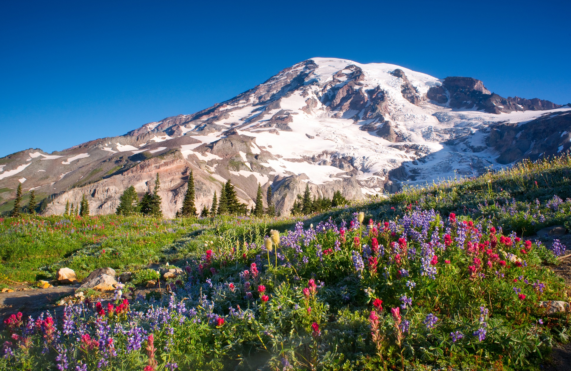 Washington State - Mount Rainier
