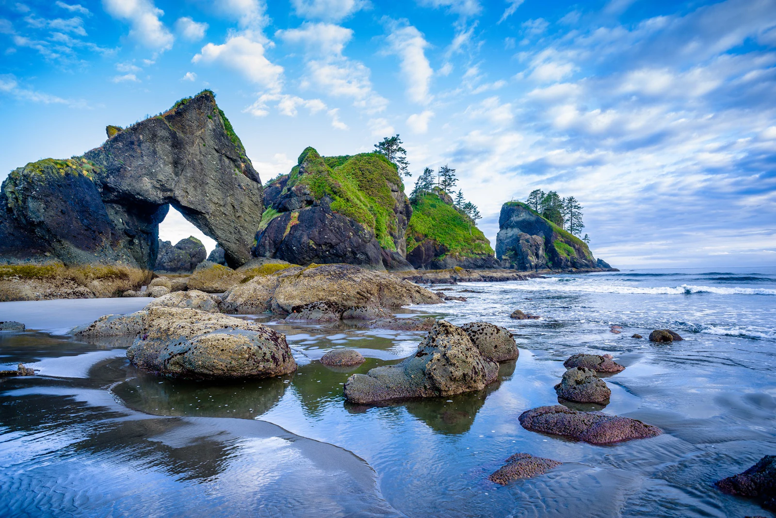 Washington State - Olympic N.P.