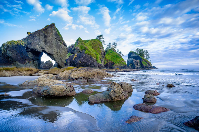 Washington State - Olympic N.P.