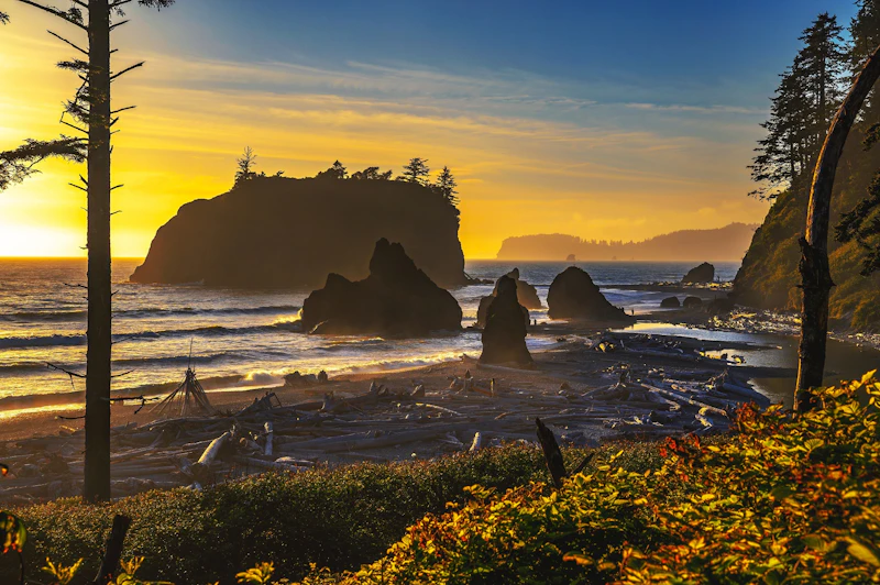 Washington State - Olympic N.P.