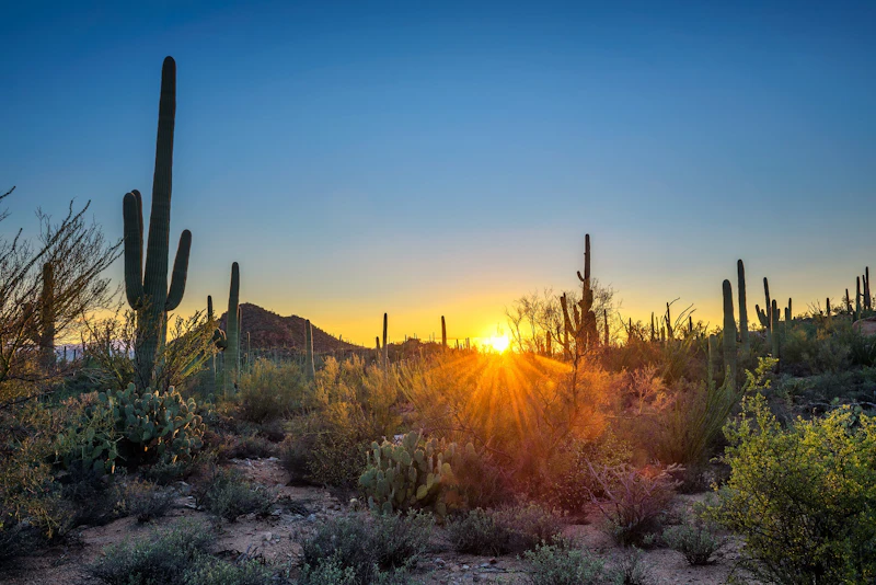 Arizona - Scottsdale PHX