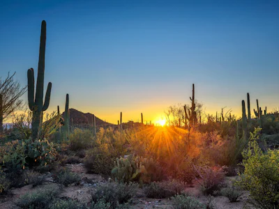 Arizona - Scottsdale PHX
