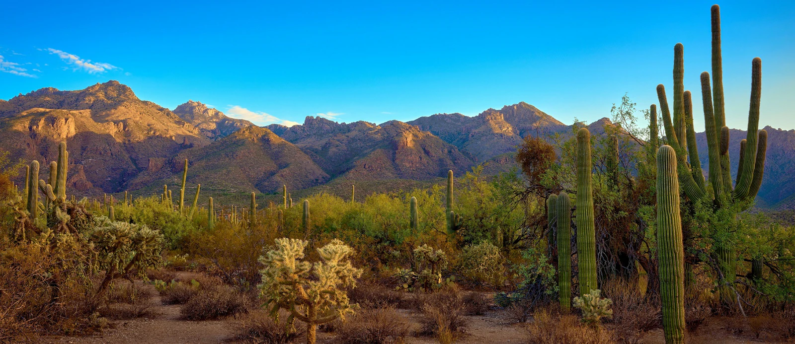 Arizona - Tucson