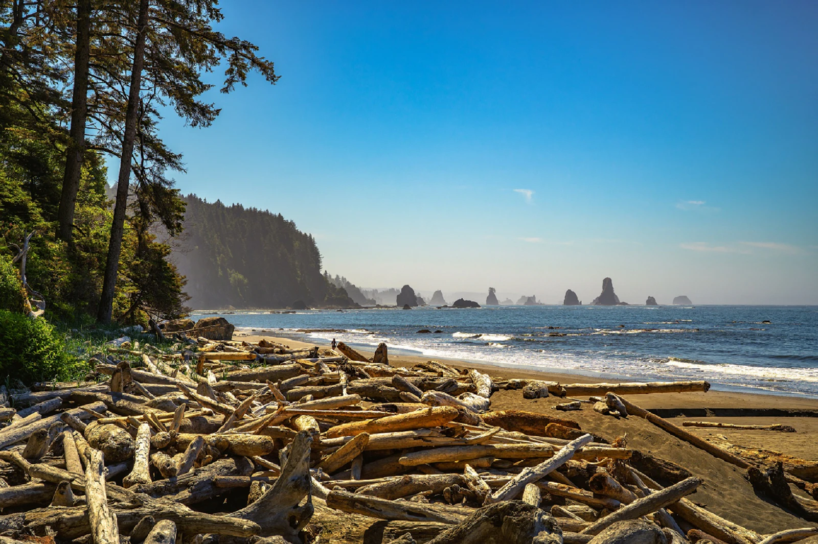 Washington State - Olympic Meer