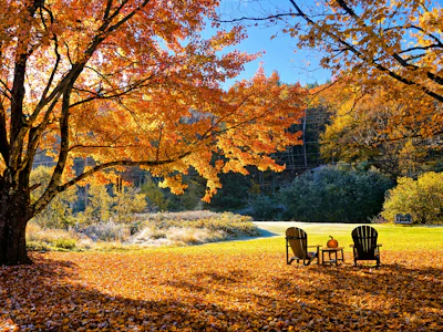 Neuengland Staaten - Fahrt Herbstwaöd