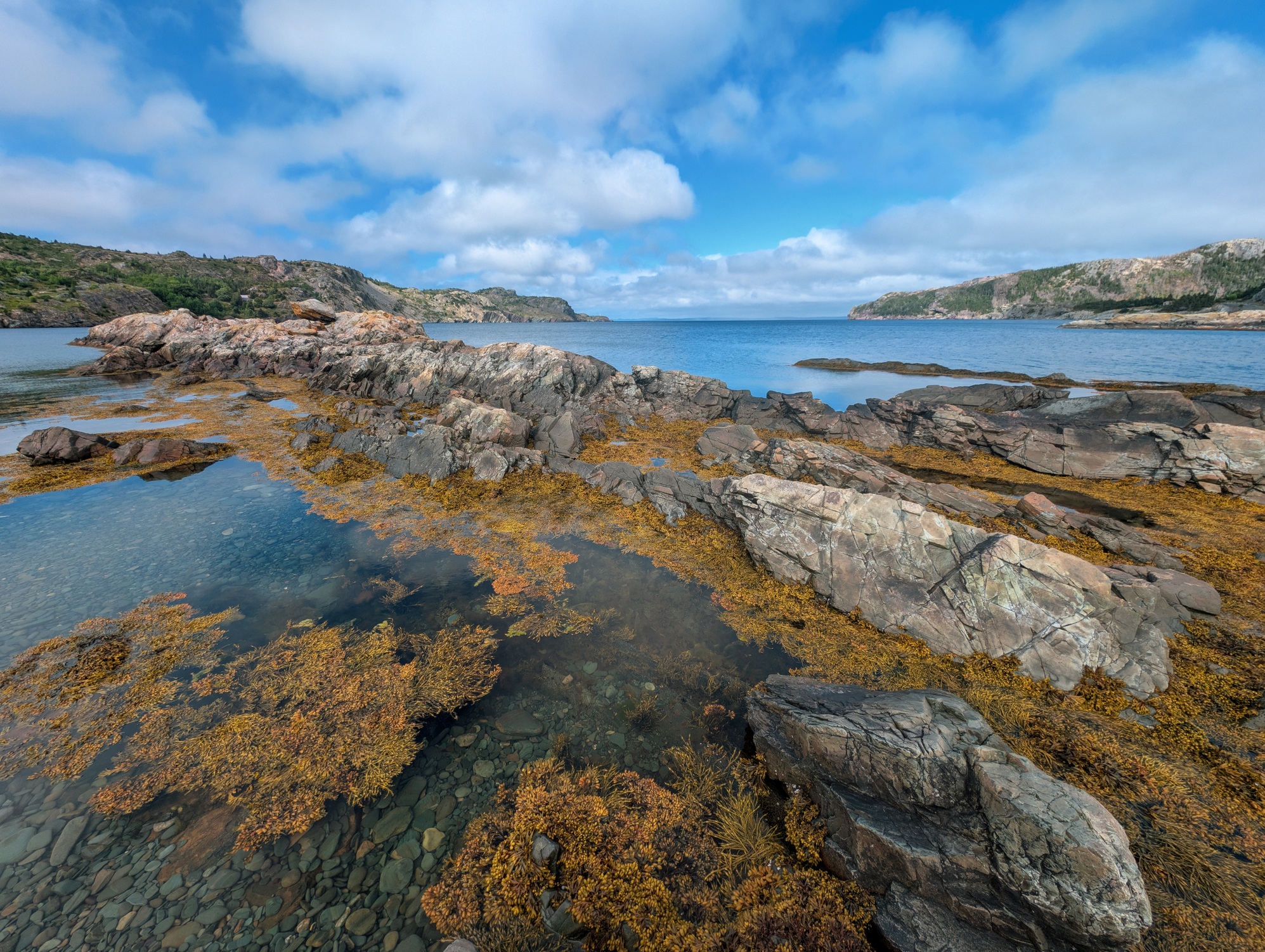 Maritime - Neufundland Küste