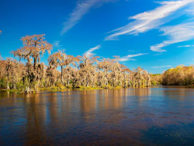 Florida - Talahassee