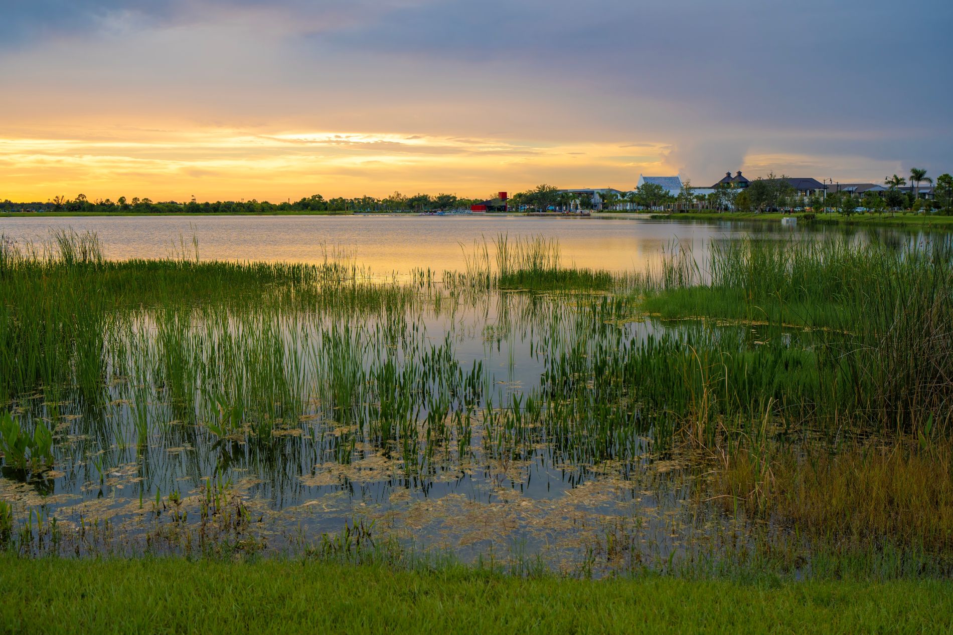 Florida - Fahrt St. Petersburg - Crystal River
