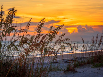 Florida - Sarasota 1