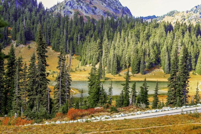 Washington state - Mount Rainier