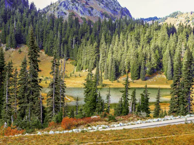 Washington state - Mount Rainier