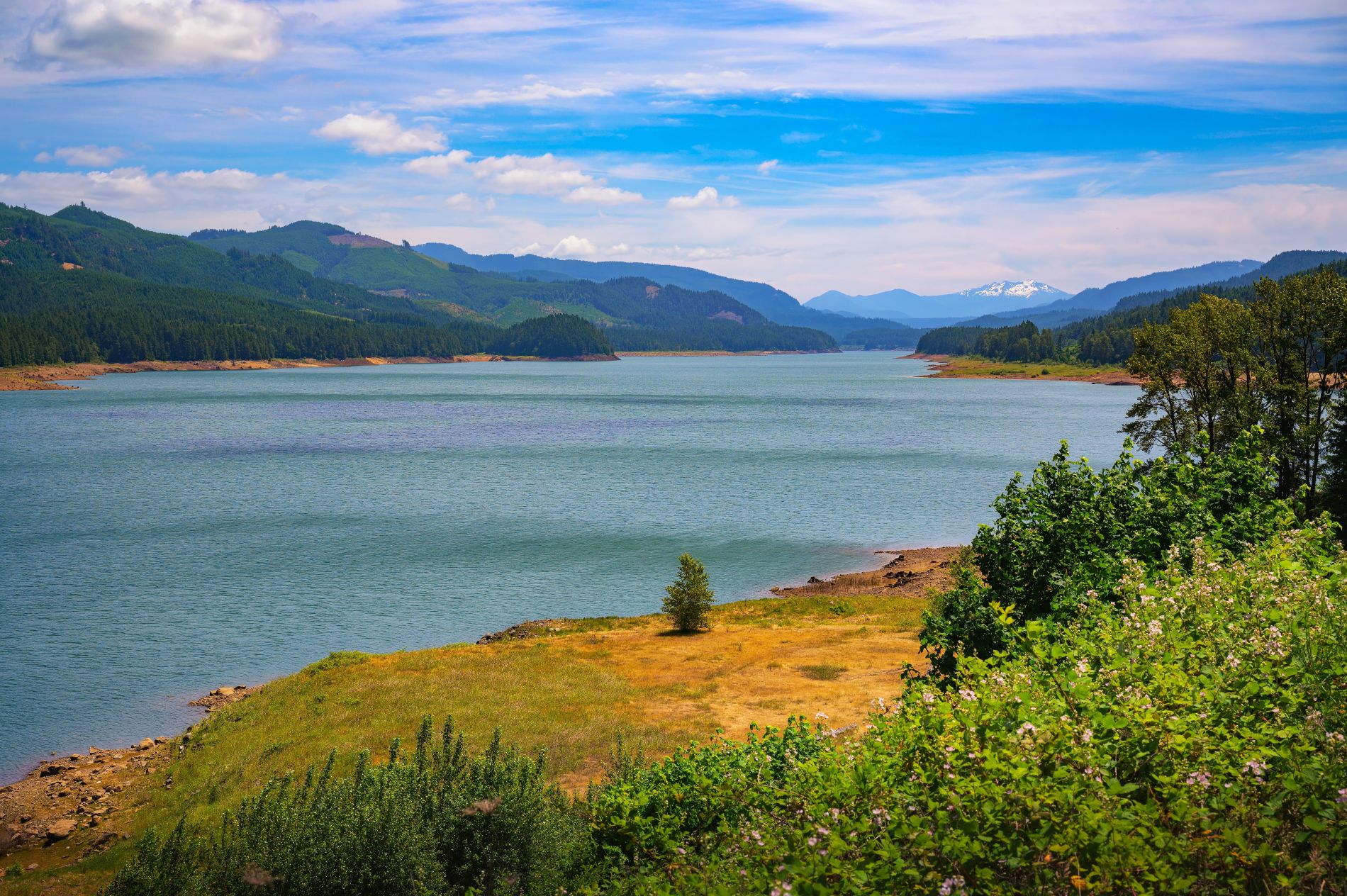 Oregon - Eugene - Landschaft