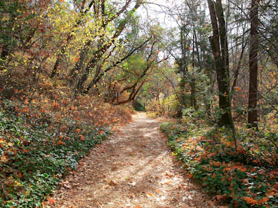 Oregon - Ashland - Natur