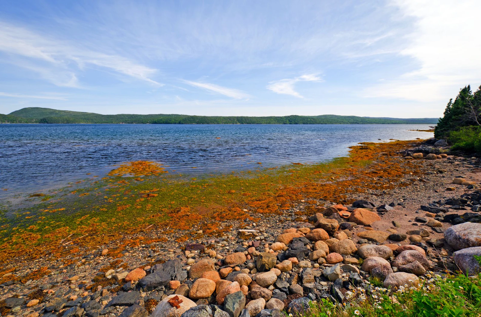 Maritime - Neufundland Terra Nova NP 3