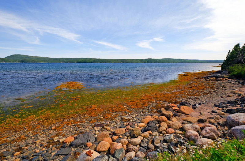 Maritime - Neufundland Terra Nova NP 3