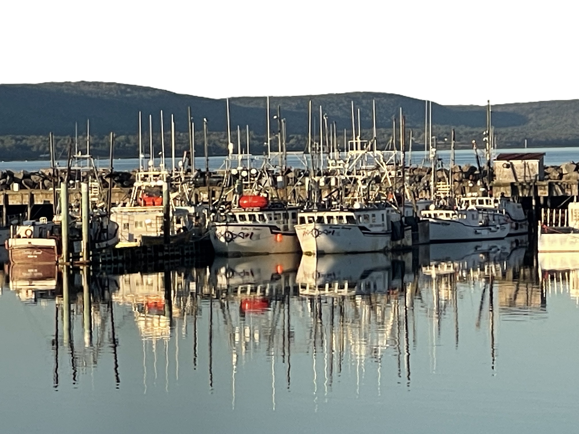 Maritime - Nova Scotia Digby