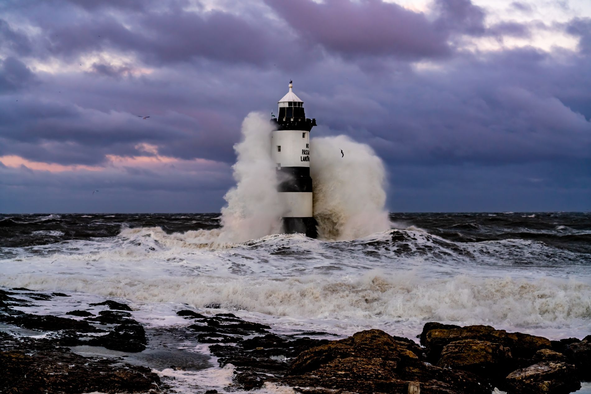 Südstaaten - Fahrt Hilton head Island - Savannah