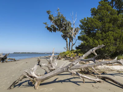 Südstaaten - Jekyll Island 1
