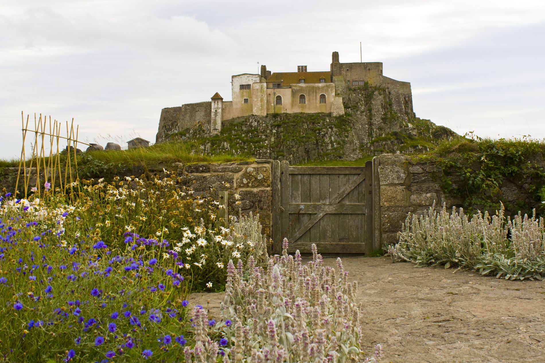 Südstaaten - Jekyll Island 3