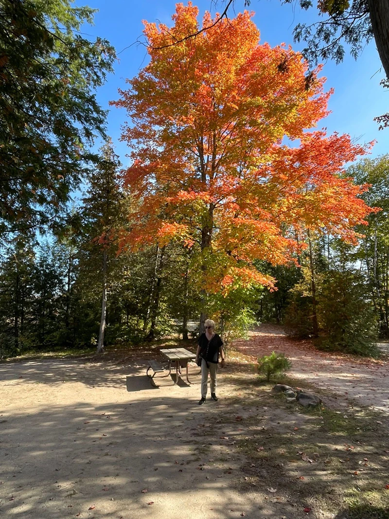 Ontario - Ontarion Highlands