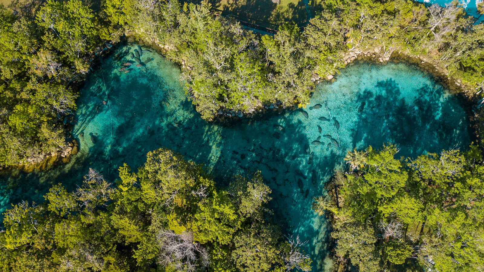 Florida - Crystal River
