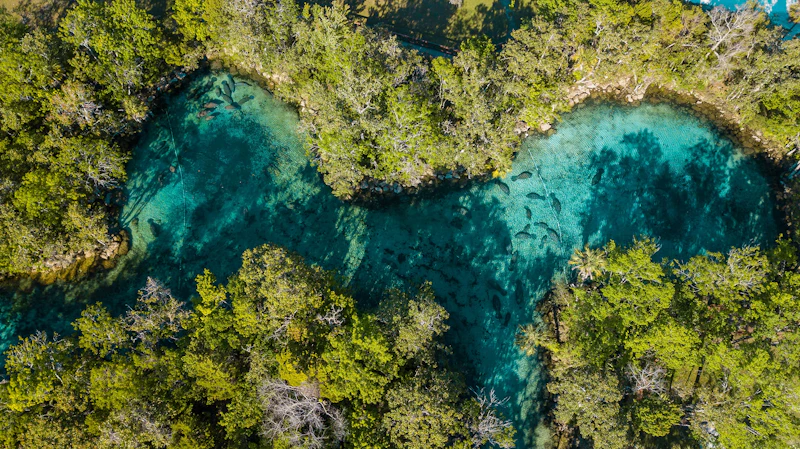 Florida - Crystal River
