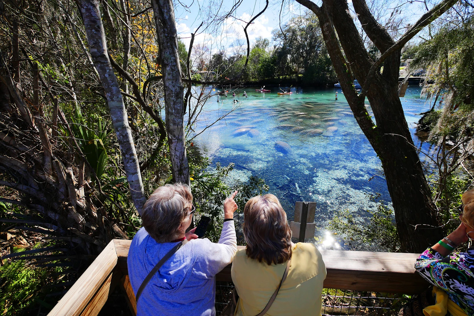 Florida - Crystal River