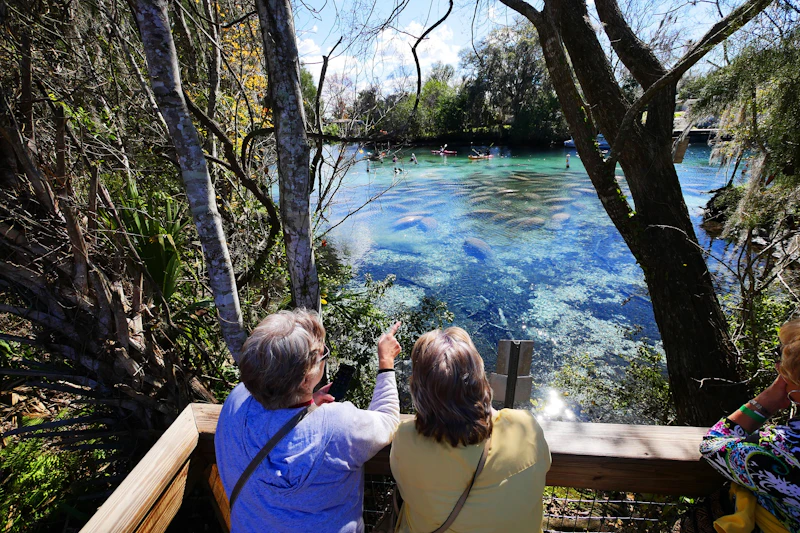 Florida - Crystal River