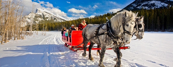 Bilder Banff/2011Pferdeschlittentour