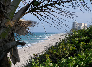 Tourweb-Fernweh-Angebote/USA/Florida/Palm-Beach