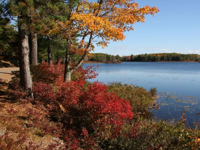 USA/Acadia-Nationalpark-01