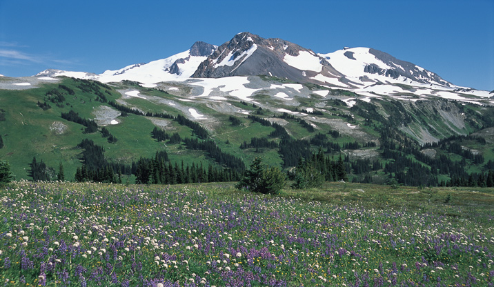 04-Kanada/Clearwater-Whistler/Angebot2