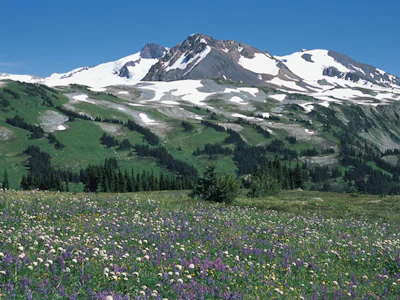 04-Kanada/Clearwater-Whistler/Angebot2