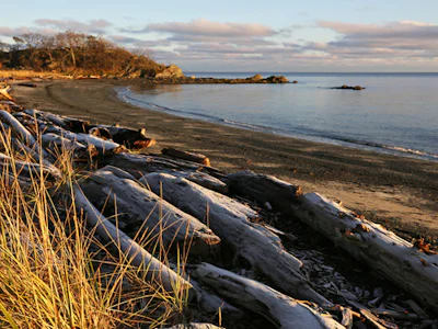 Tourweb-Fernweh-Angebote/Kanada/tofino/Angebot