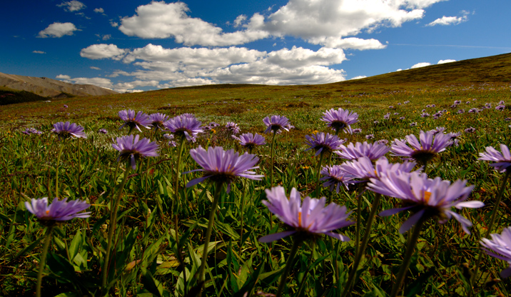 Tourweb-Fernweh-Angebote/Kanada/Revelstoke_Angebot