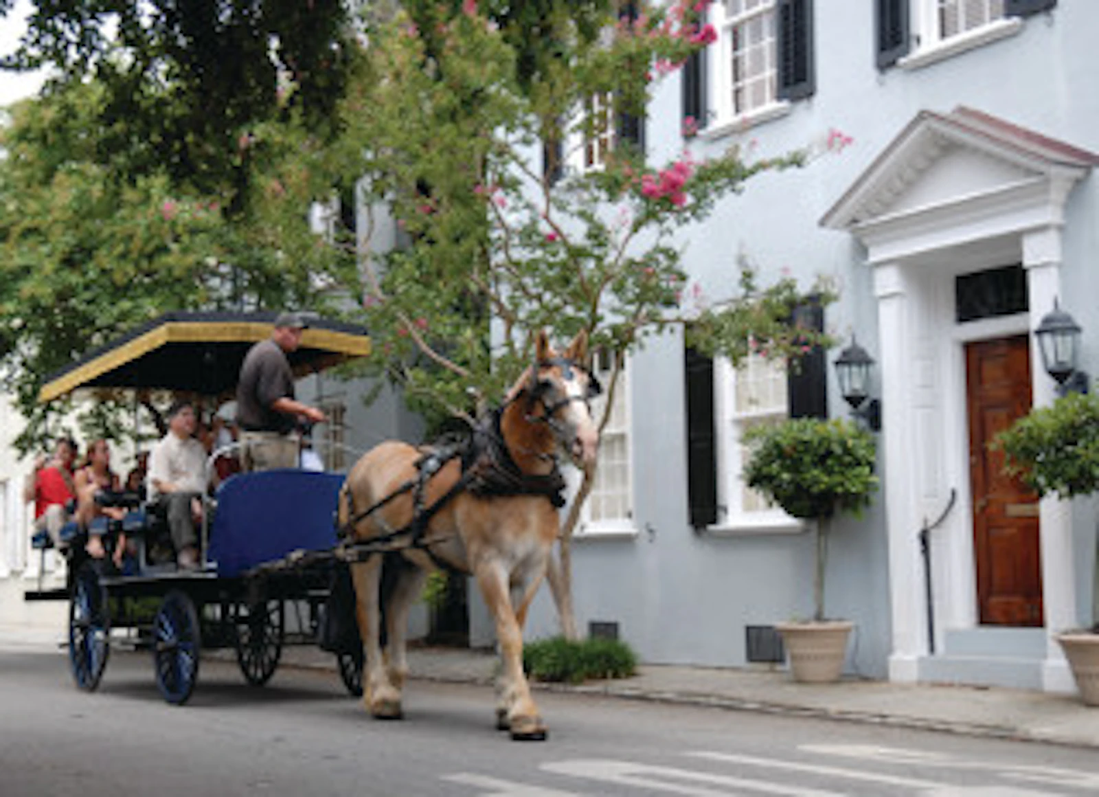 Tourweb-Fernweh-Angebote/USA/South-Carolina/Charleston
