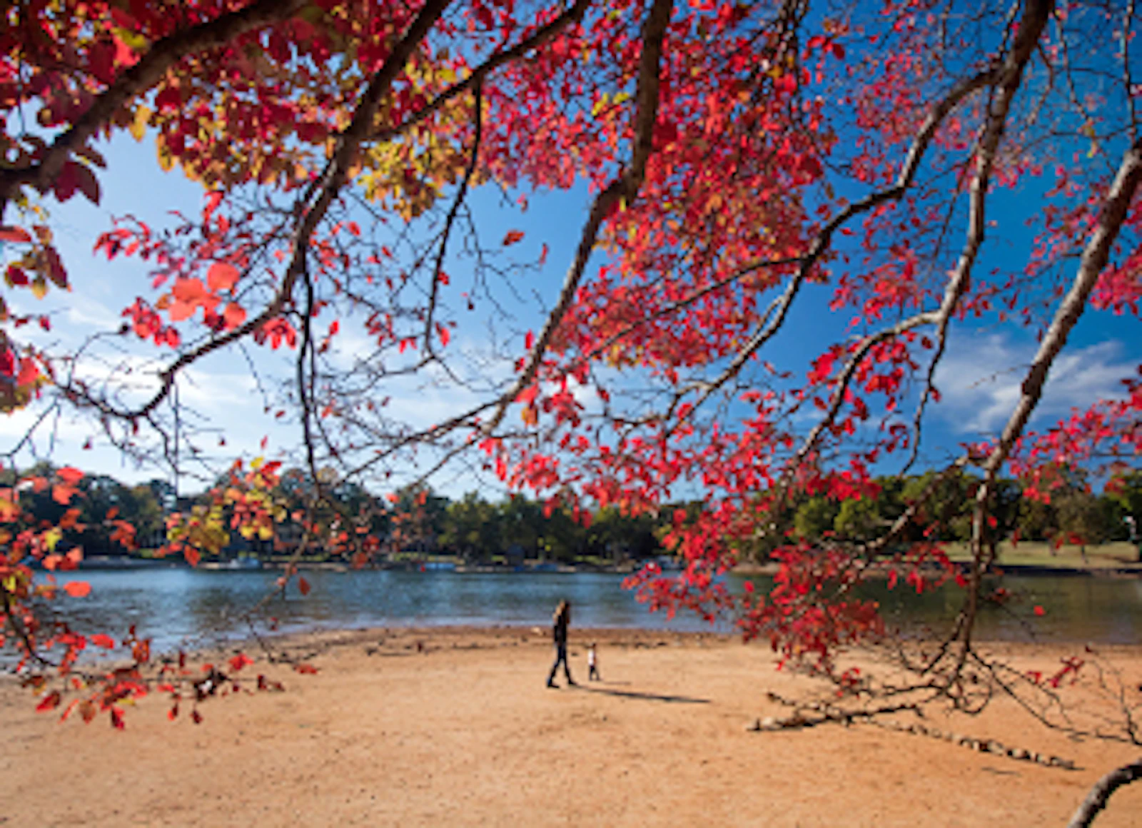 Tourweb-Fernweh-Angebote/USA/South-Carolina/Raleigh