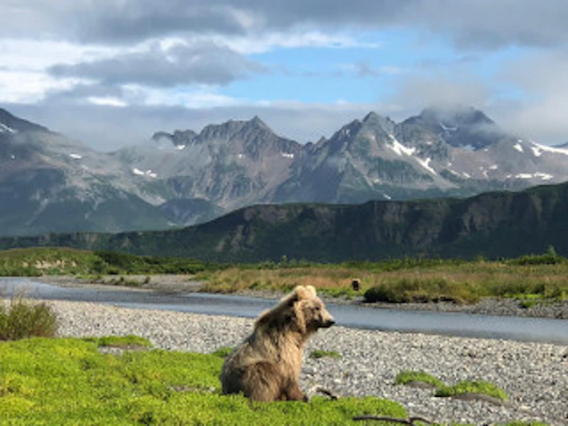 Tourweb-Fernweh-Angebote/Alaska/seward-homer