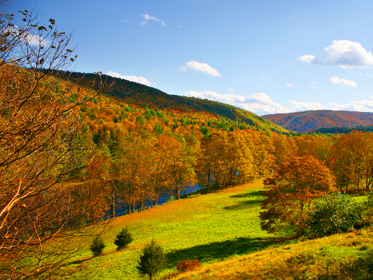 Tourweb-Fernweh-Angebote/USA/Stowe 2