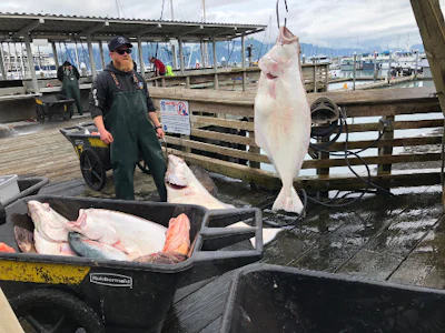 Tourweb-Fernweh-Angebote/USA/Alaska/Seward 1