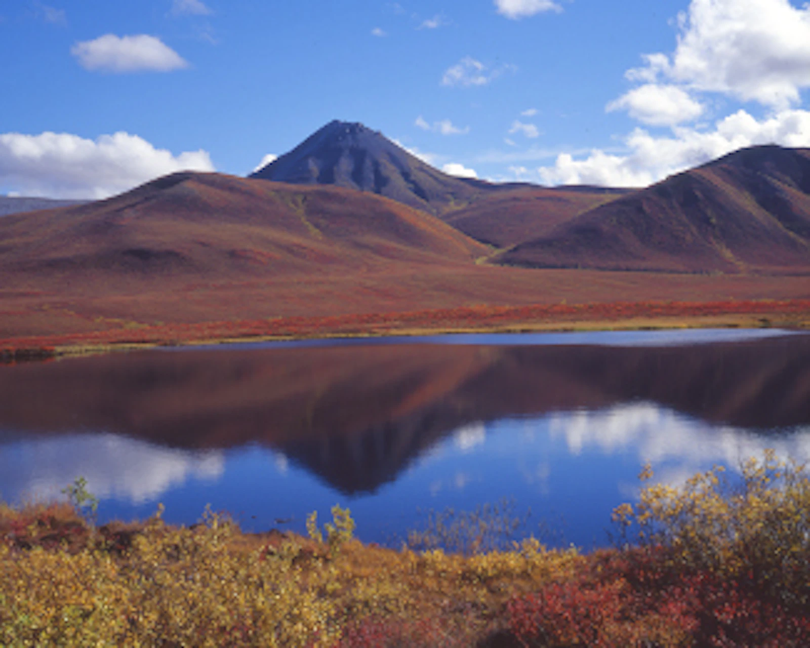 Tourweb-Fernweh-Angebote/USA/Alaska/Dempster