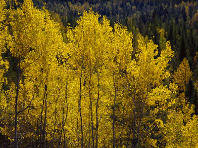 Tourweb-Fernweh-Angebote/Canada/Provincial Park 2