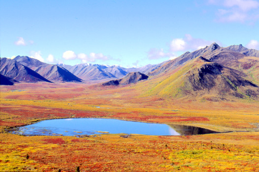 Tourweb-Fernweh-Angebote/Canada/Dempster Highway 2