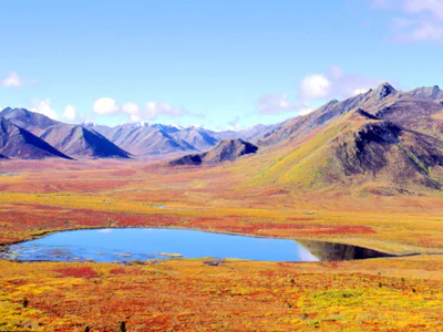 Tourweb-Fernweh-Angebote/Canada/Dempster Highway 2